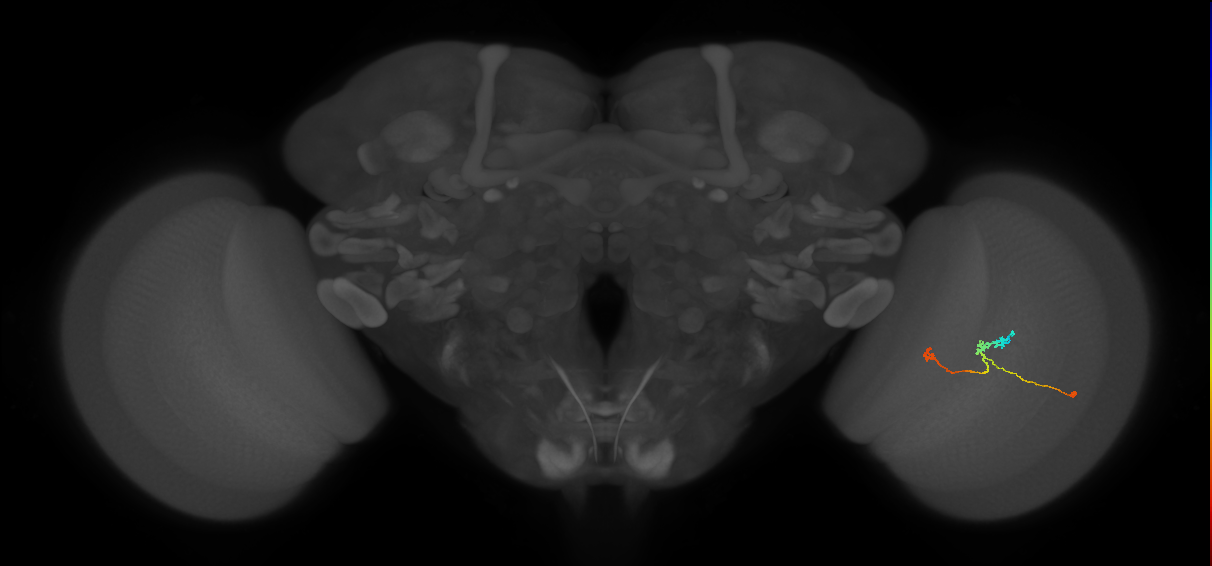 BANC_626:720575941564824215