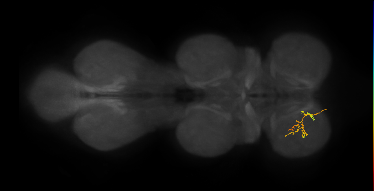 DNfl030