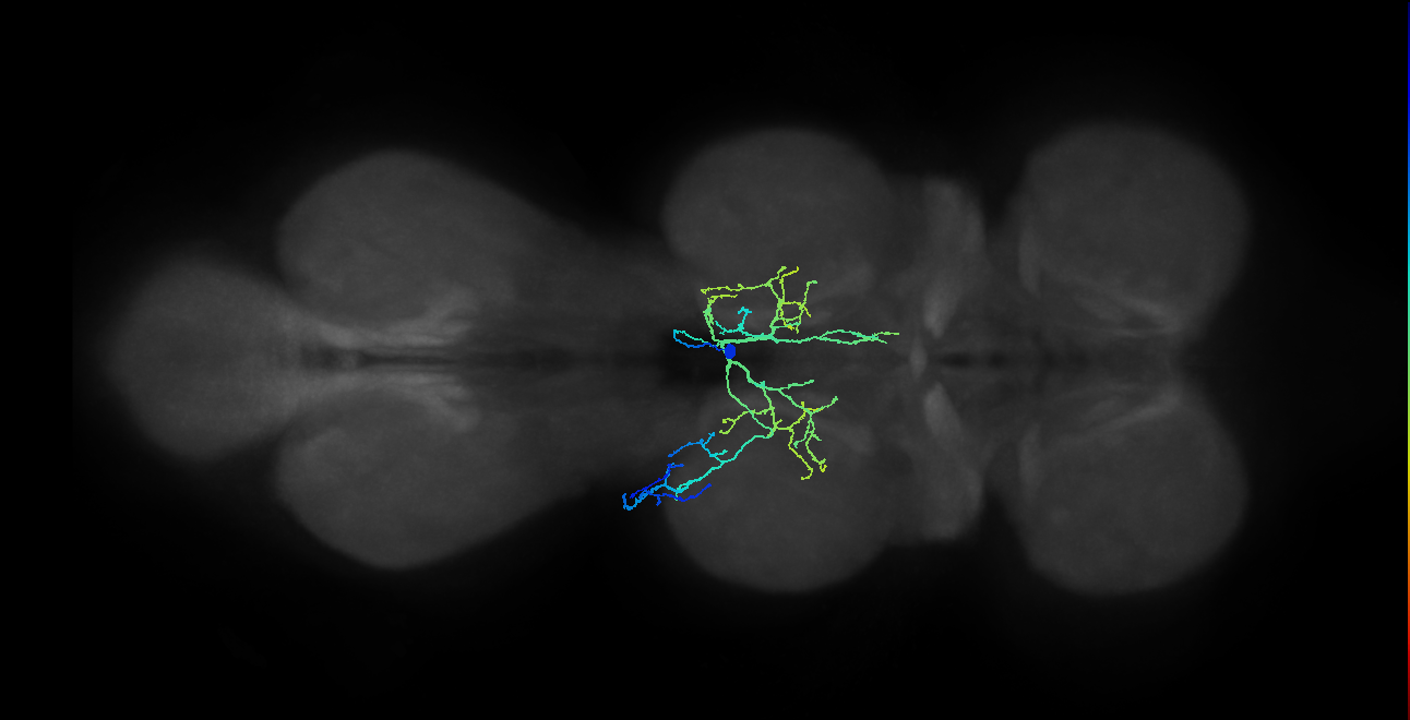 BANC_626:720575941565919591