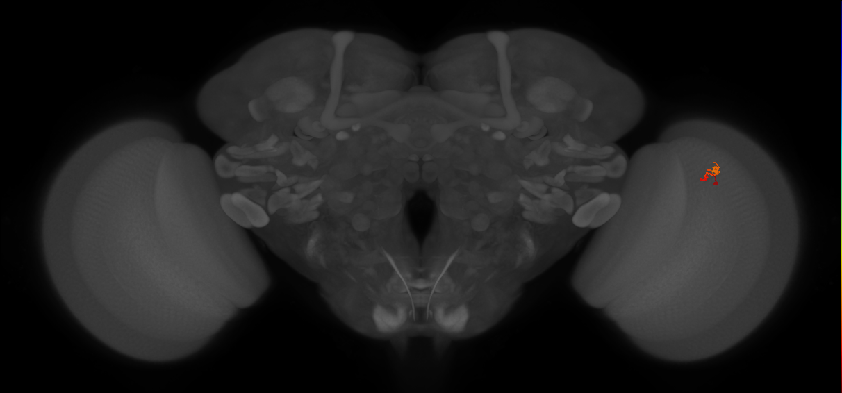 BANC_626:720575941566169902