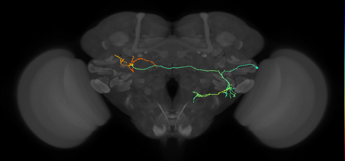 BANC_626:720575941566687798