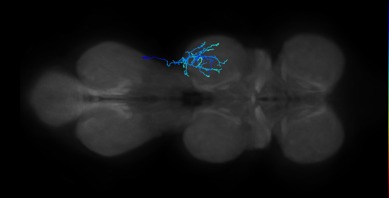 BANC_626:720575941567110446
