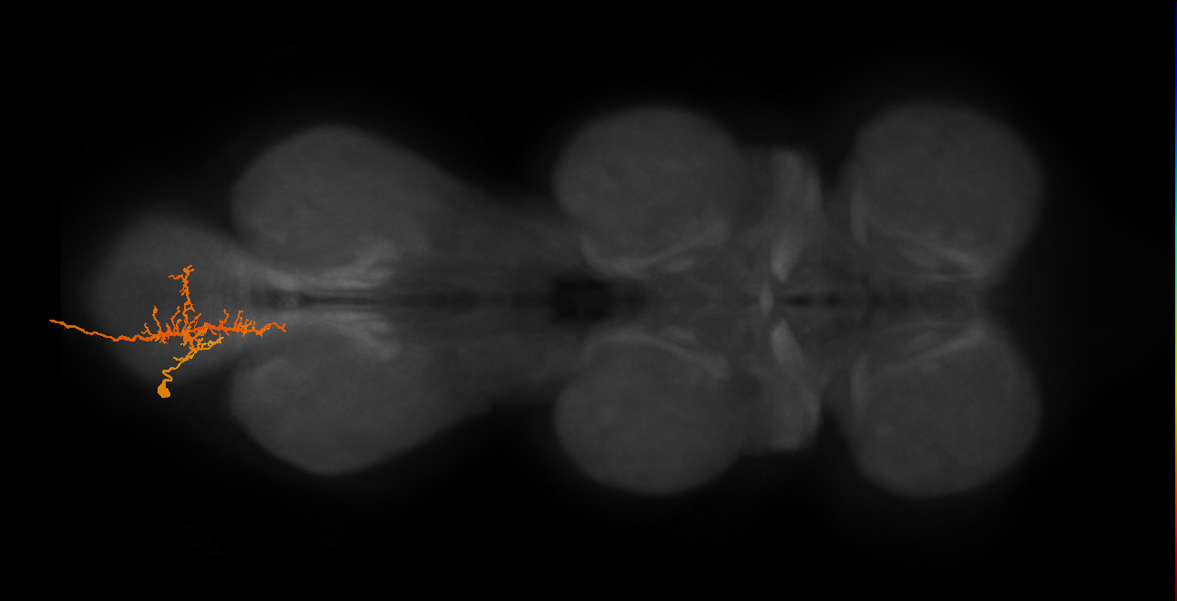 MNad01