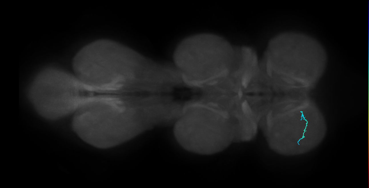 SNta44