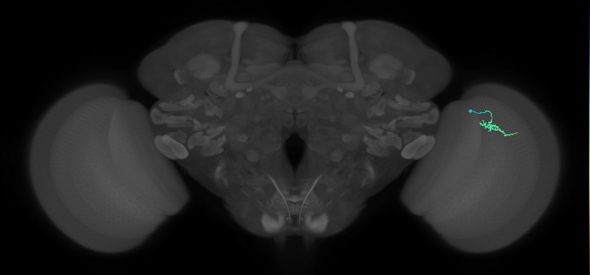 BANC_626:720575941572518920