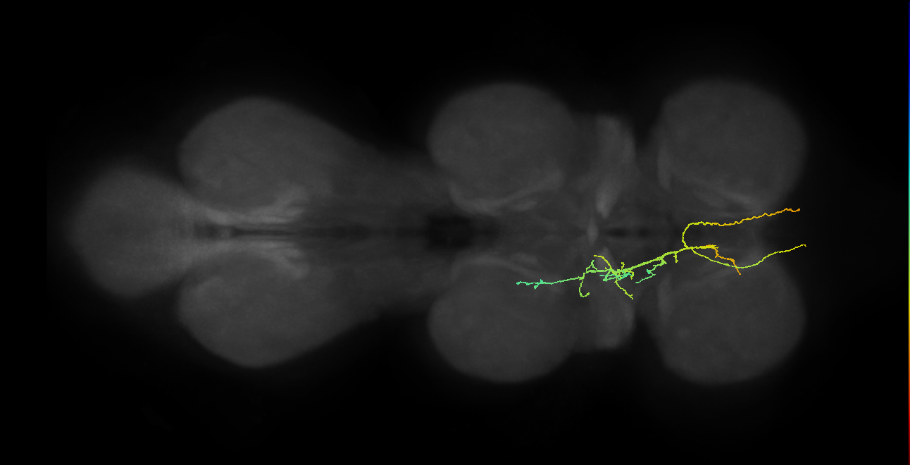 BANC_626:720575941549950207