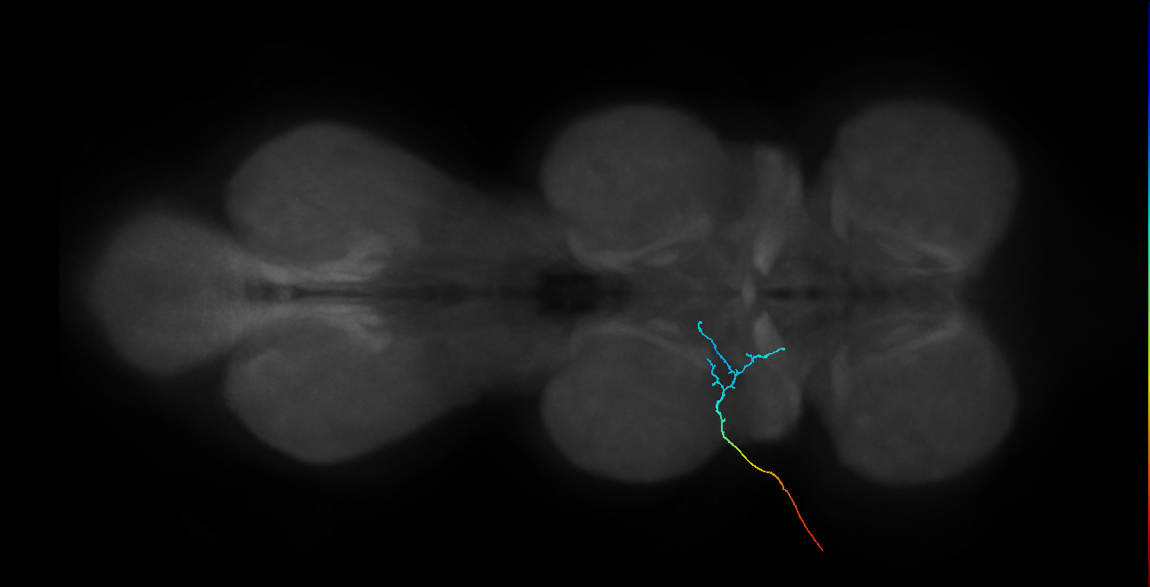 BANC_626:720575941551606299