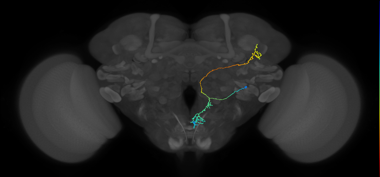 BANC_626:720575941552999559