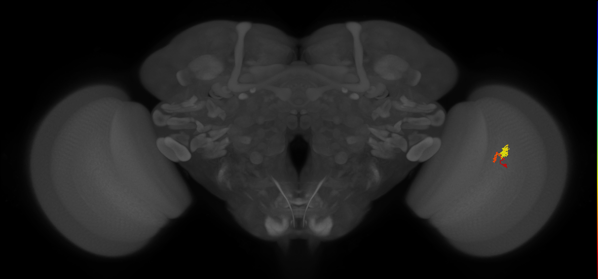 BANC_626:720575941553125889