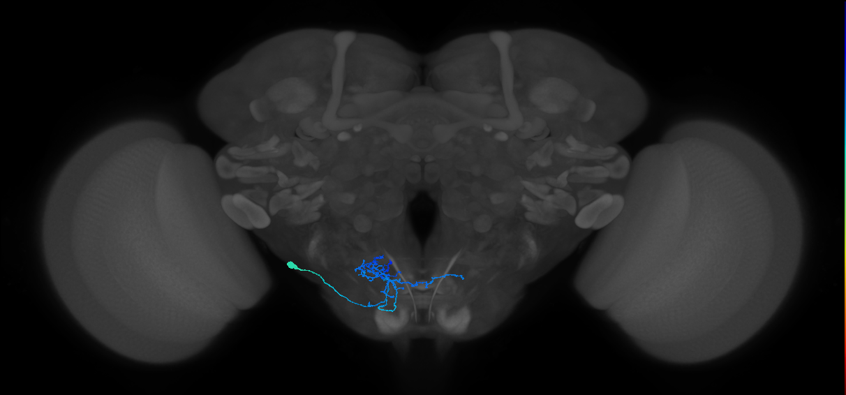 BANC_626:720575941553775002