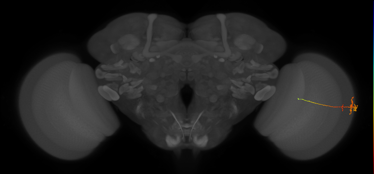 BANC_626:720575941554255514