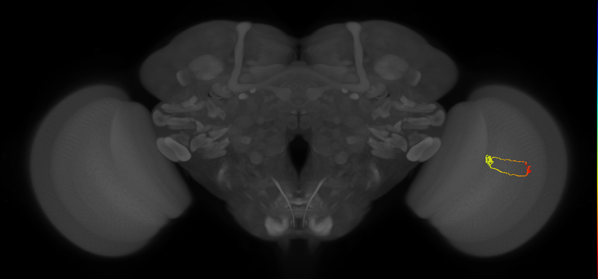 BANC_626:720575941554305107
