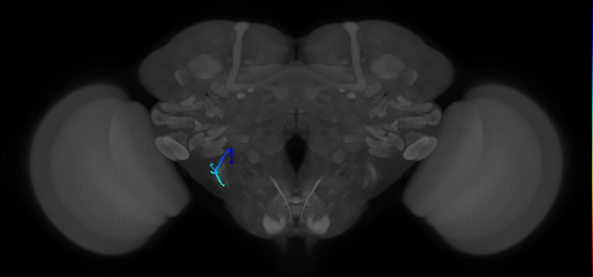BANC_626:720575941554731162