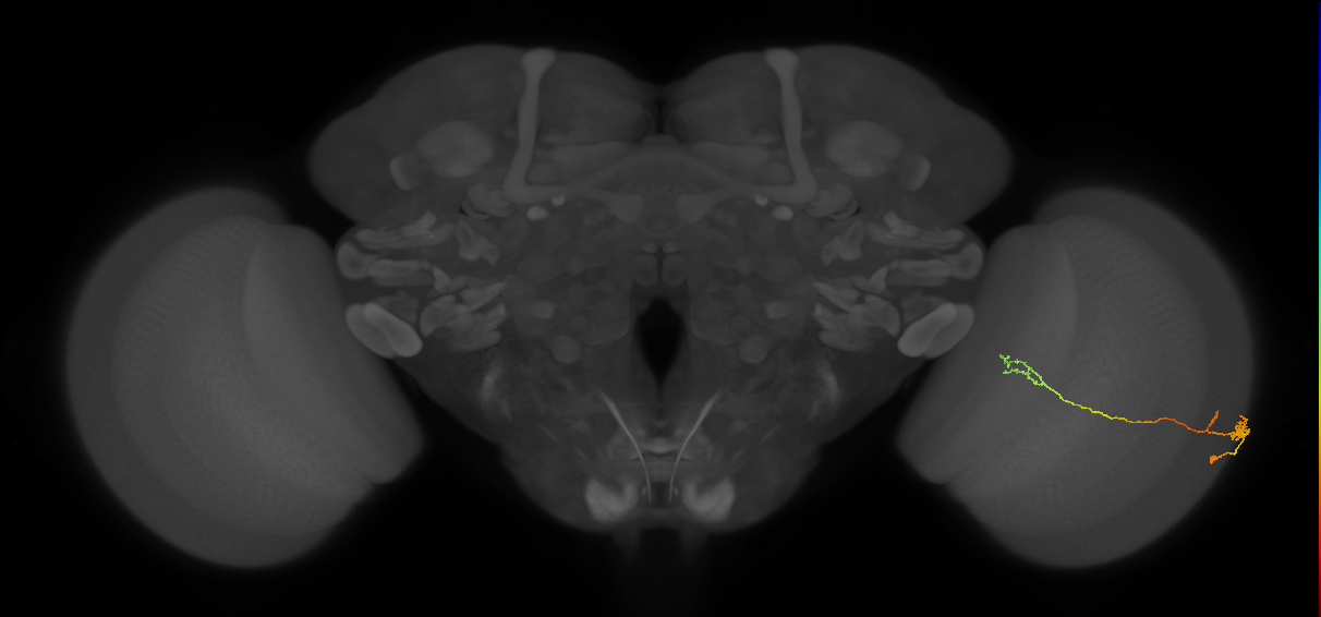 BANC_626:720575941554860545