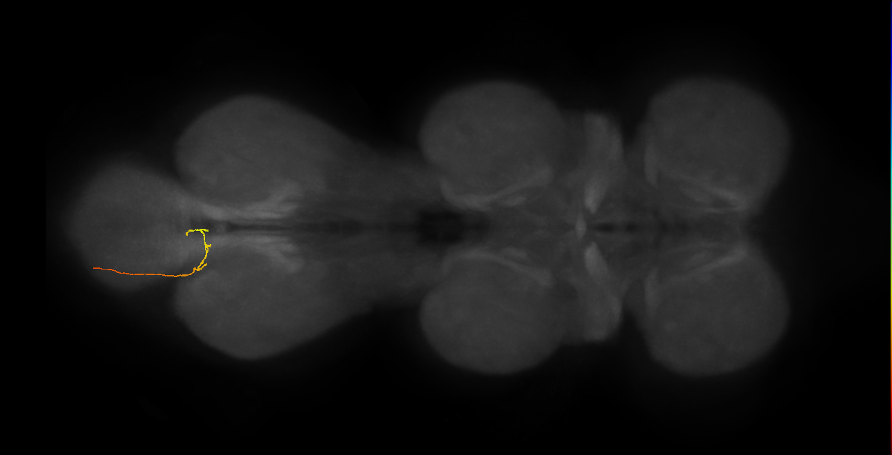 BANC_626:720575941555174483