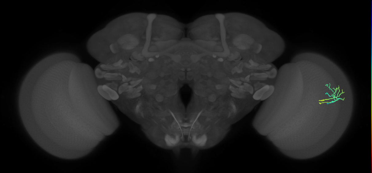 BANC_626:720575941557092004