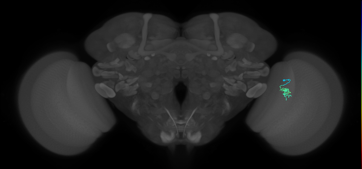 BANC_626:720575941557948836
