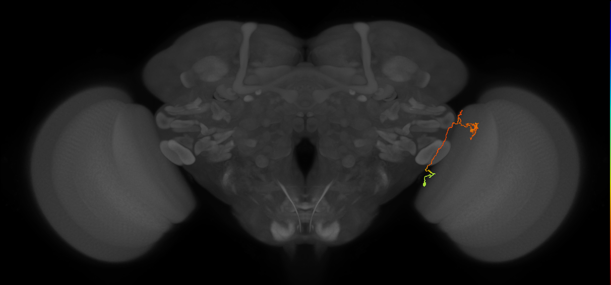 BANC_626:720575941558442867