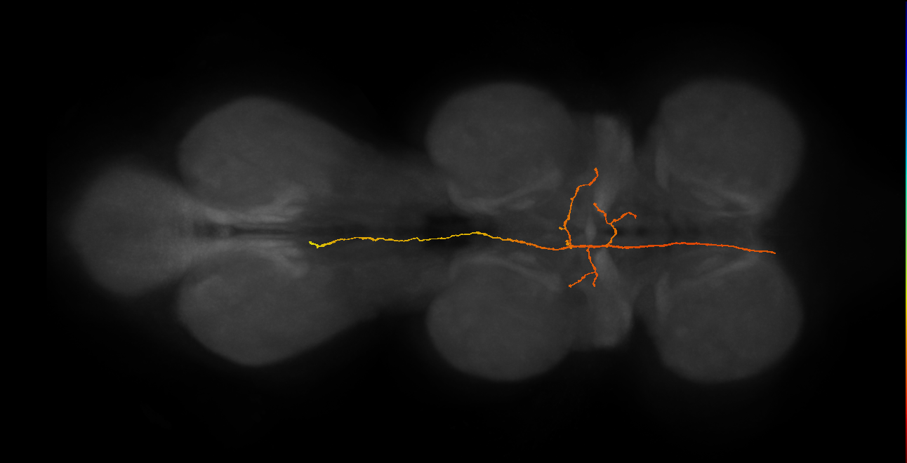 BANC_626:720575941559104813