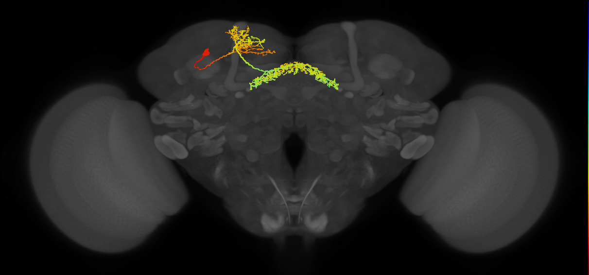 BANC_626:720575941535103832