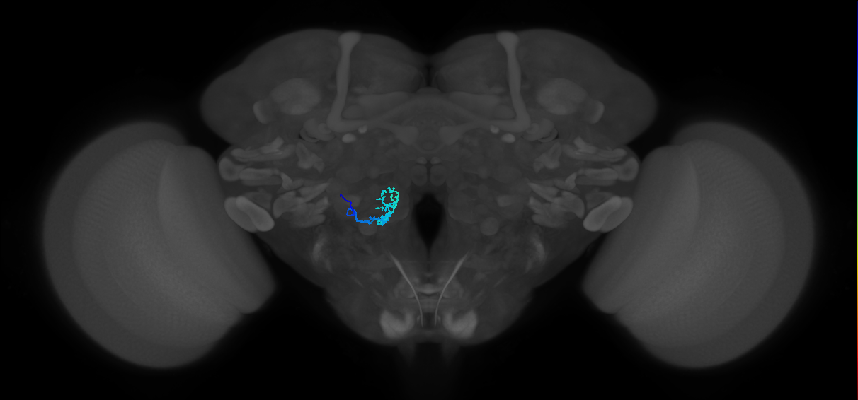 BANC_626:720575941536932323