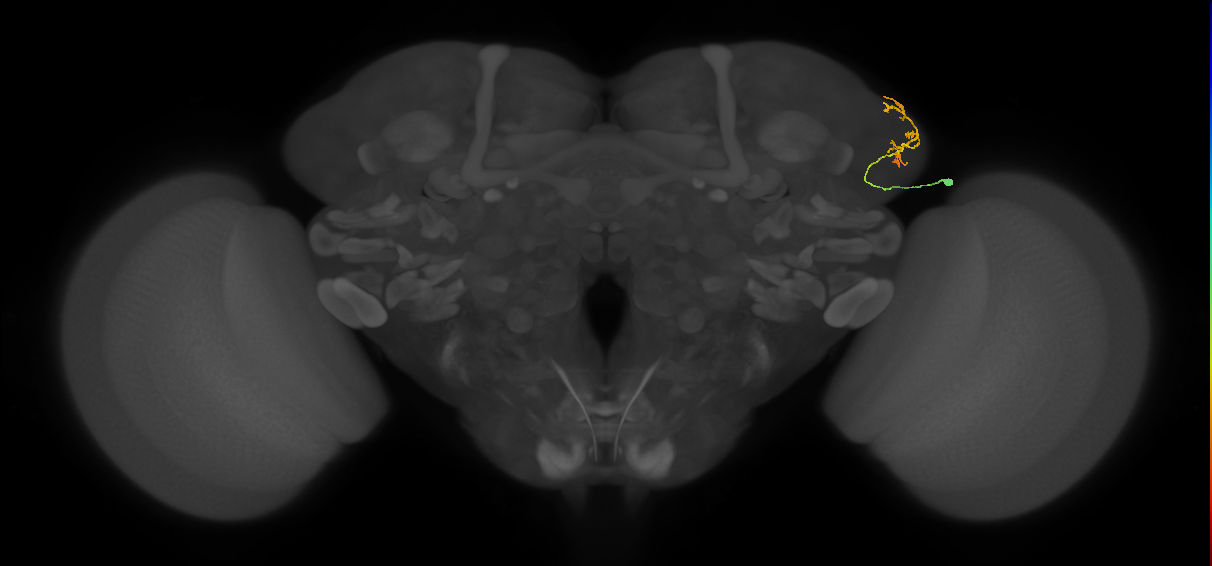BANC_626:720575941537964771