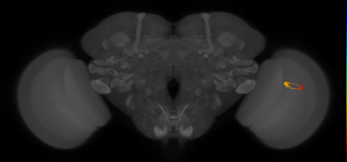 BANC_626:720575941539161469