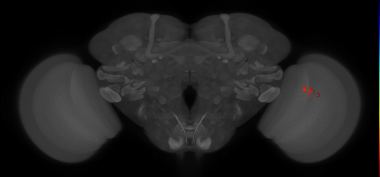 BANC_626:720575941540819036
