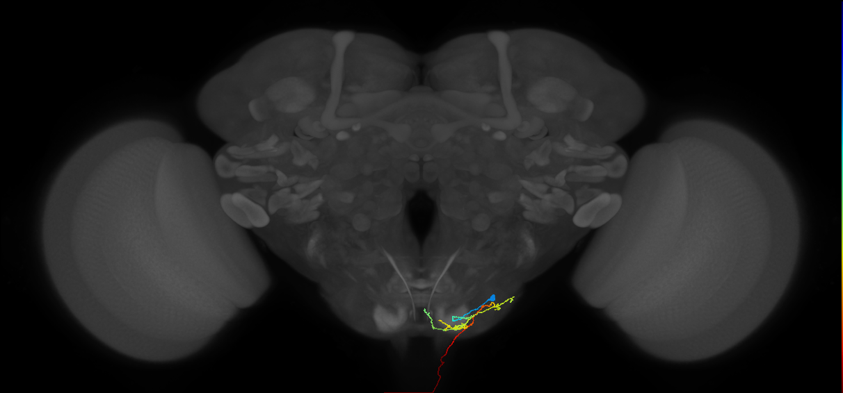 BANC_626:720575941542584837
