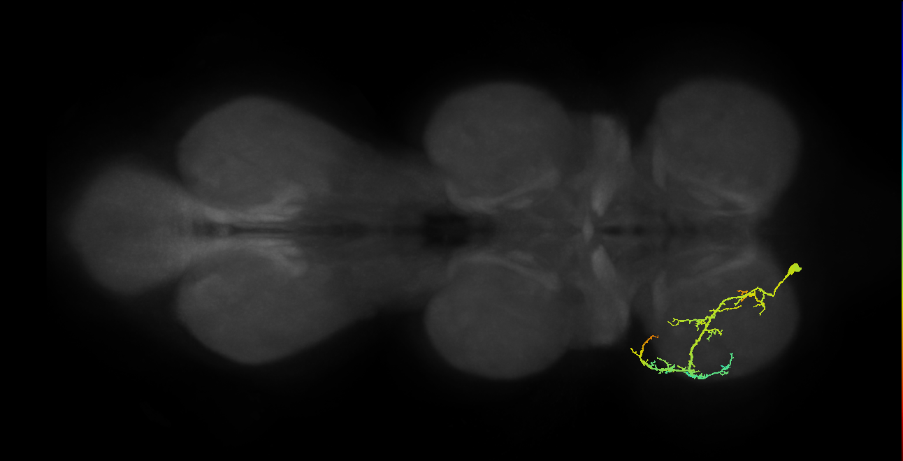 BANC_626:720575941545479868