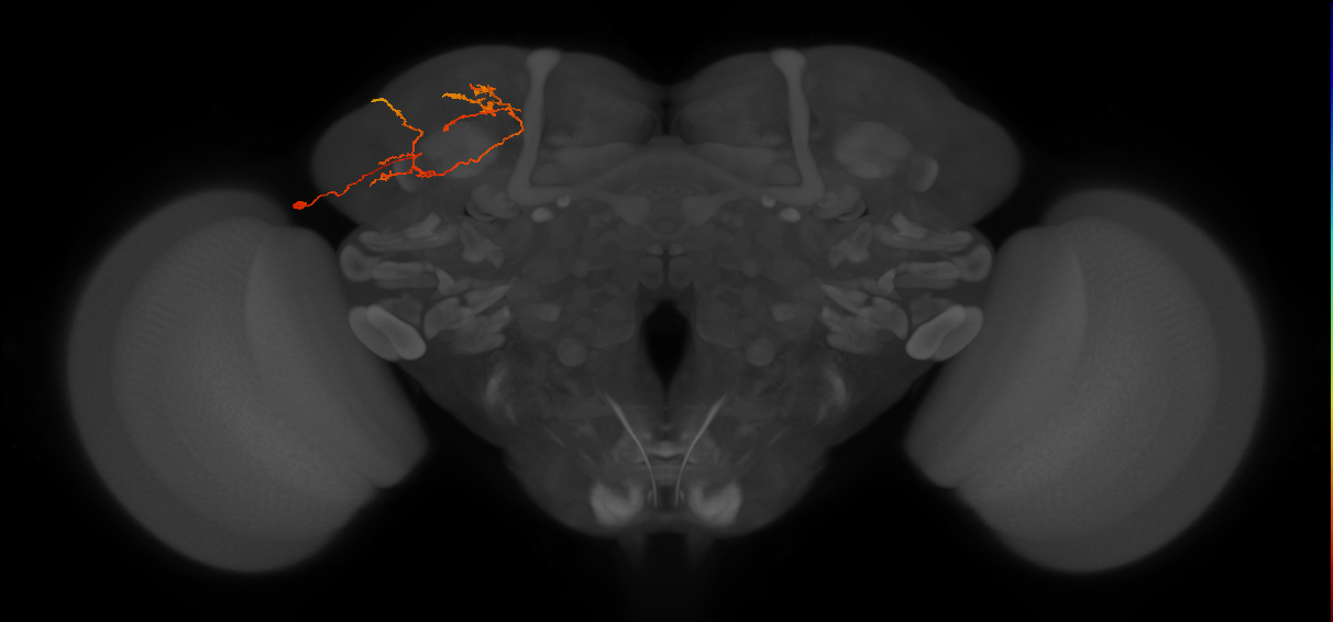 CB3260