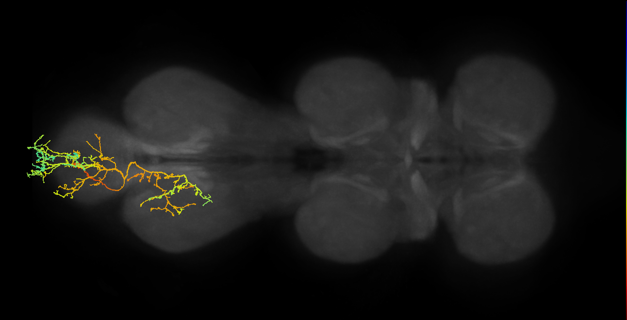 BANC_626:720575941547176372