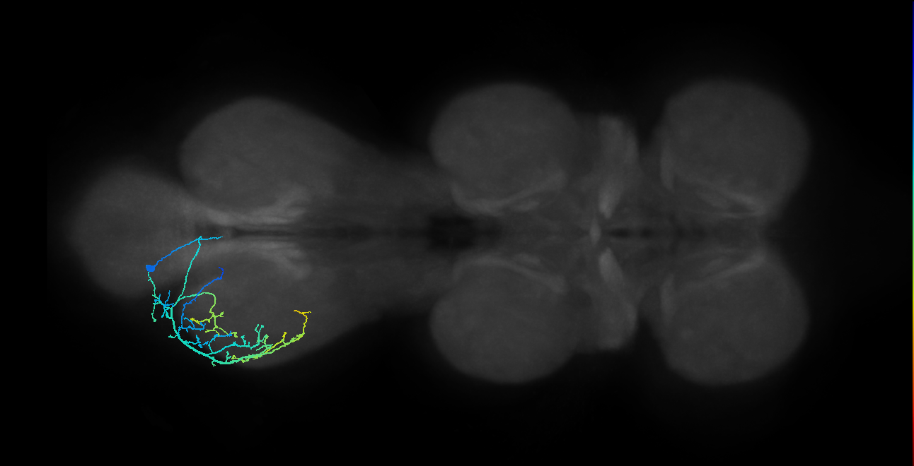 BANC_626:720575941524140621