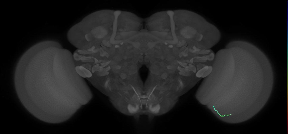BANC_626:720575941525451545