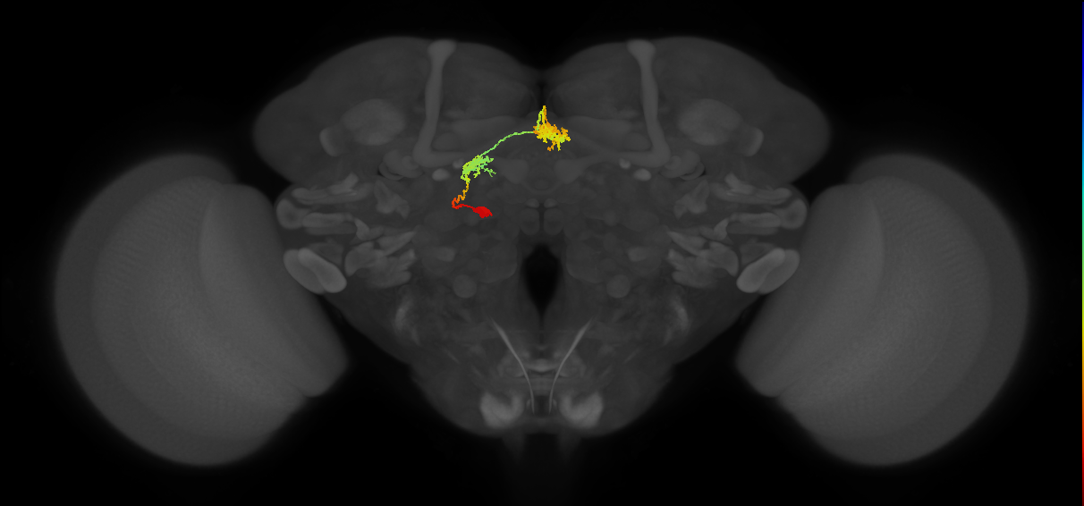 BANC_626:720575941529290116