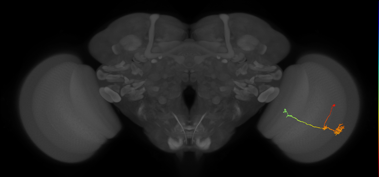 BANC_626:720575941529358027