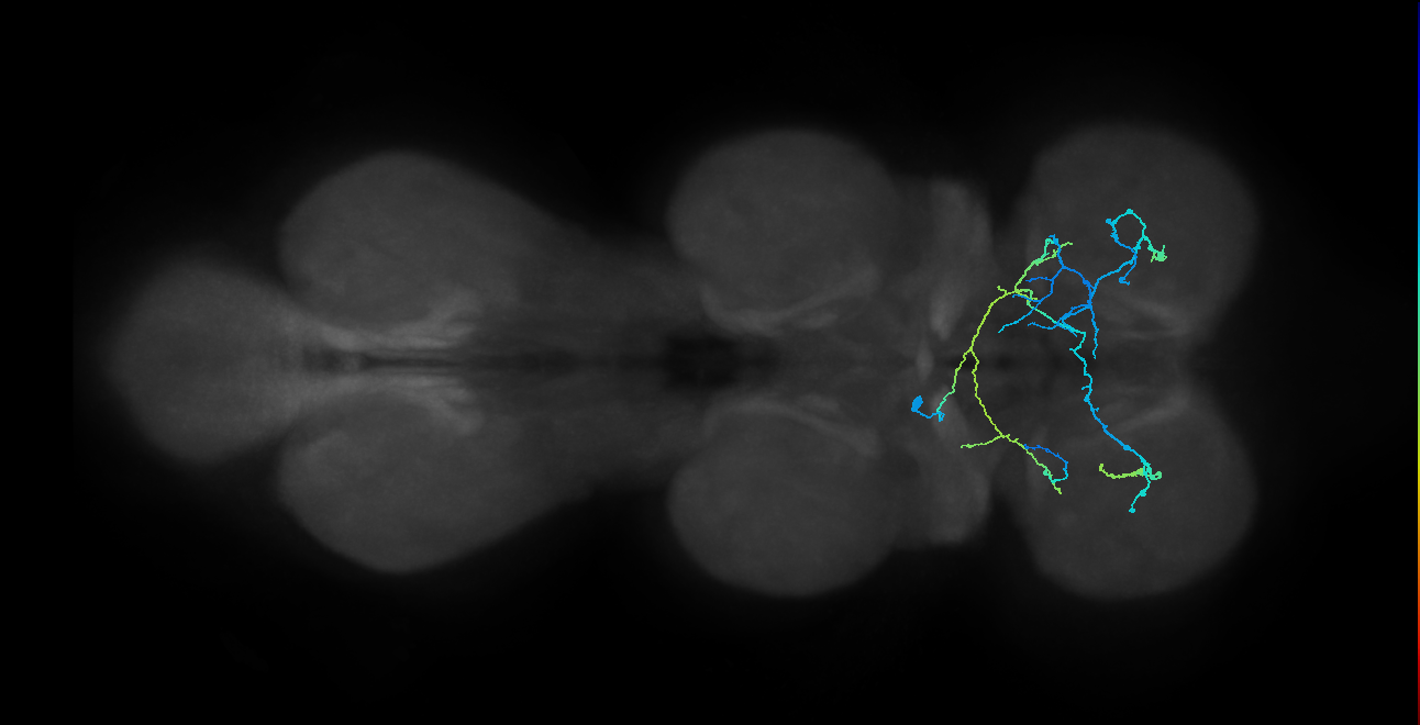 BANC_626:720575941530168267