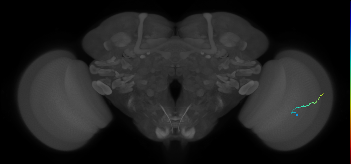 BANC_626:720575941532063363