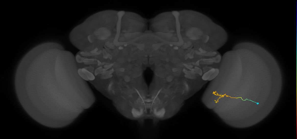 BANC_626:720575941532114819