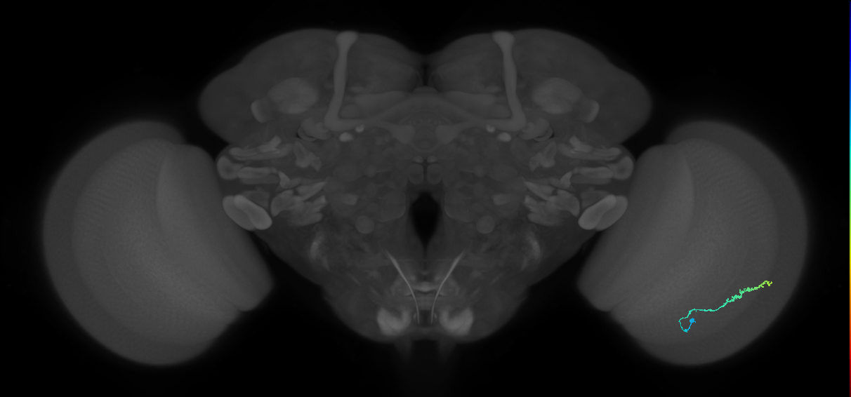 BANC_626:720575941533098371