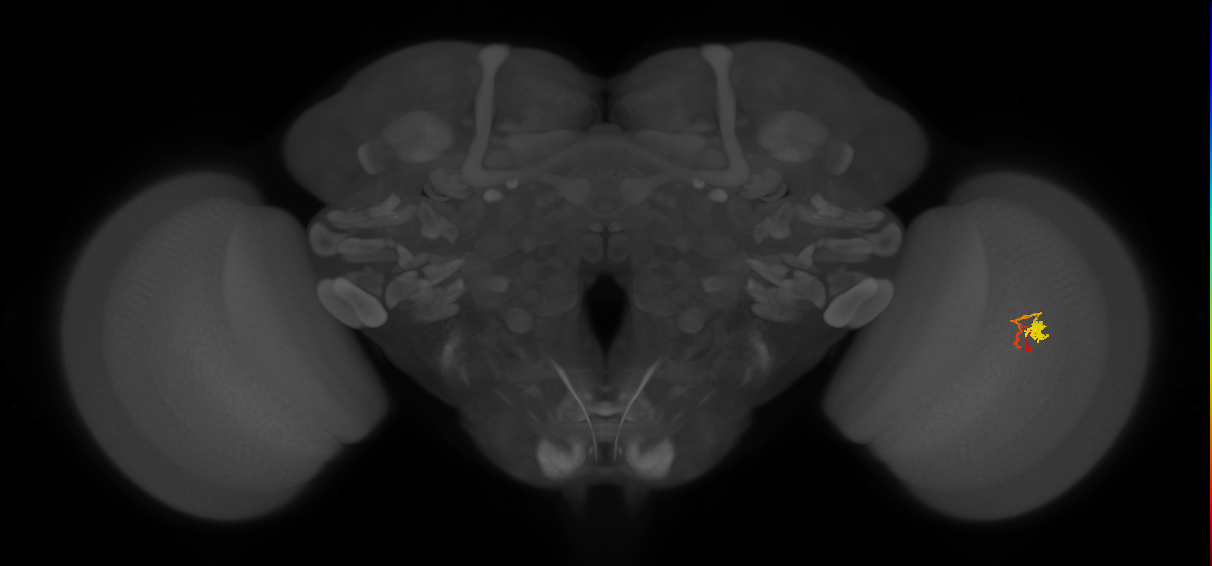 BANC_626:720575941512027089