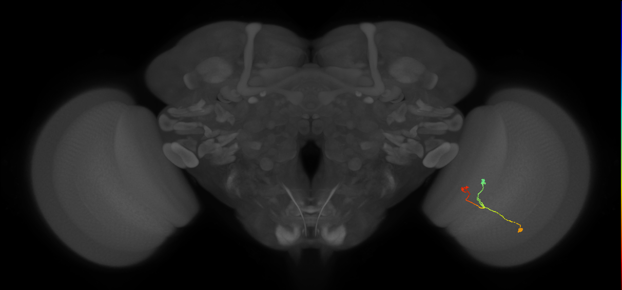 BANC_626:720575941513963866
