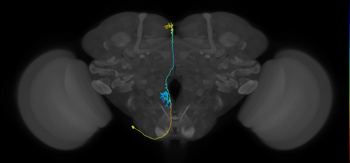 BANC_626:720575941514004044