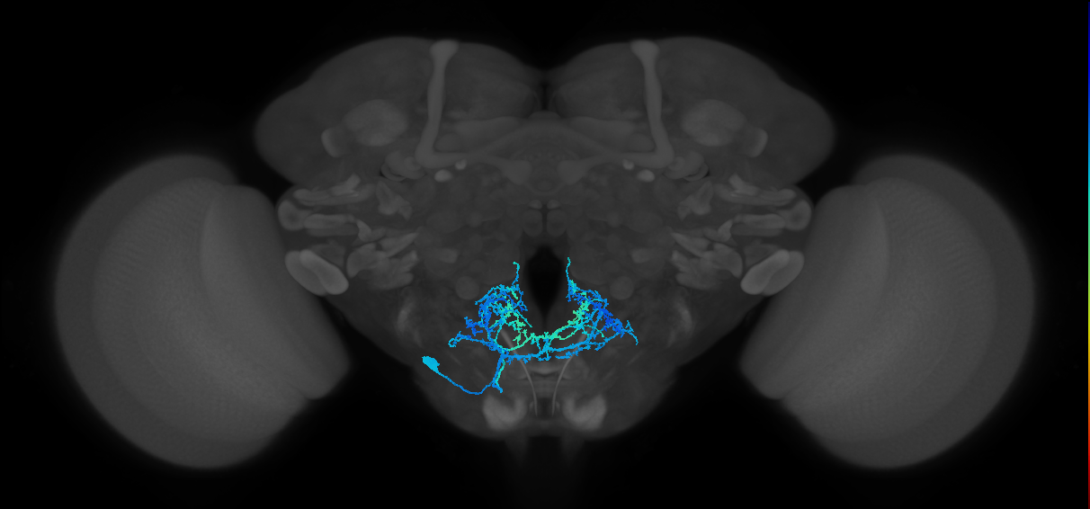 BANC_626:720575941515965027