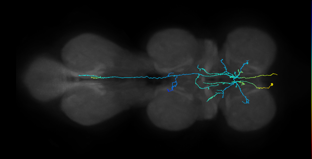 BANC_626:720575941516185859