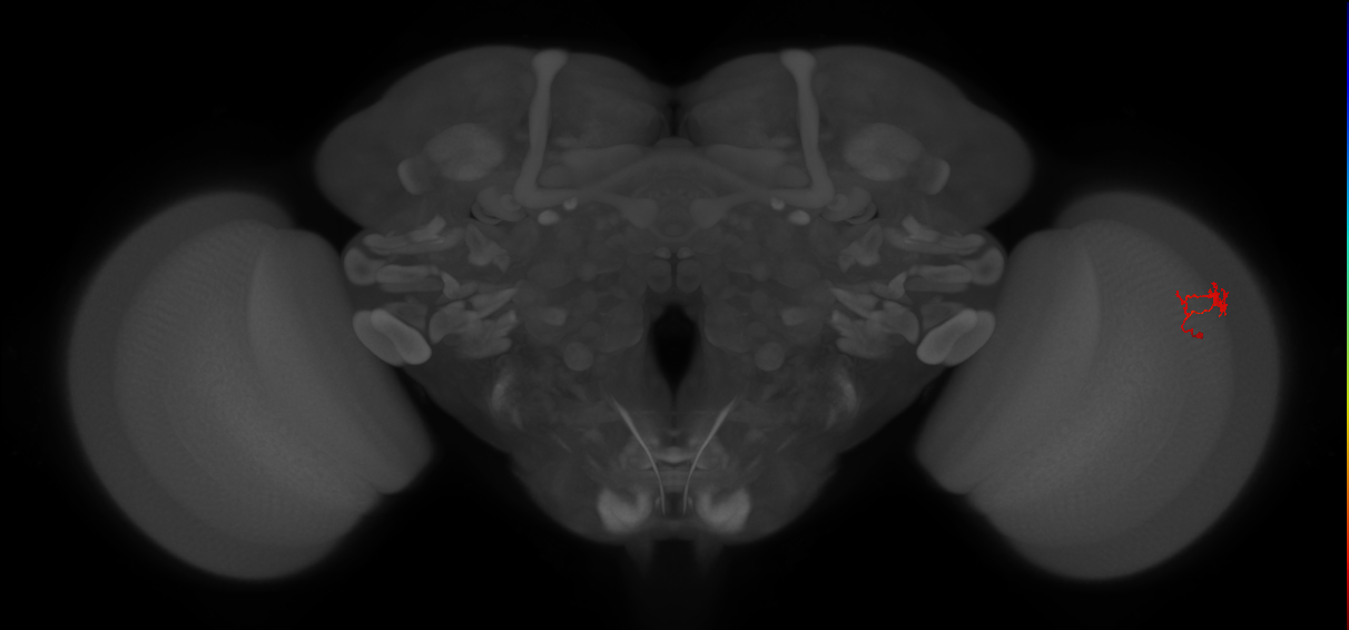 BANC_626:720575941518159726
