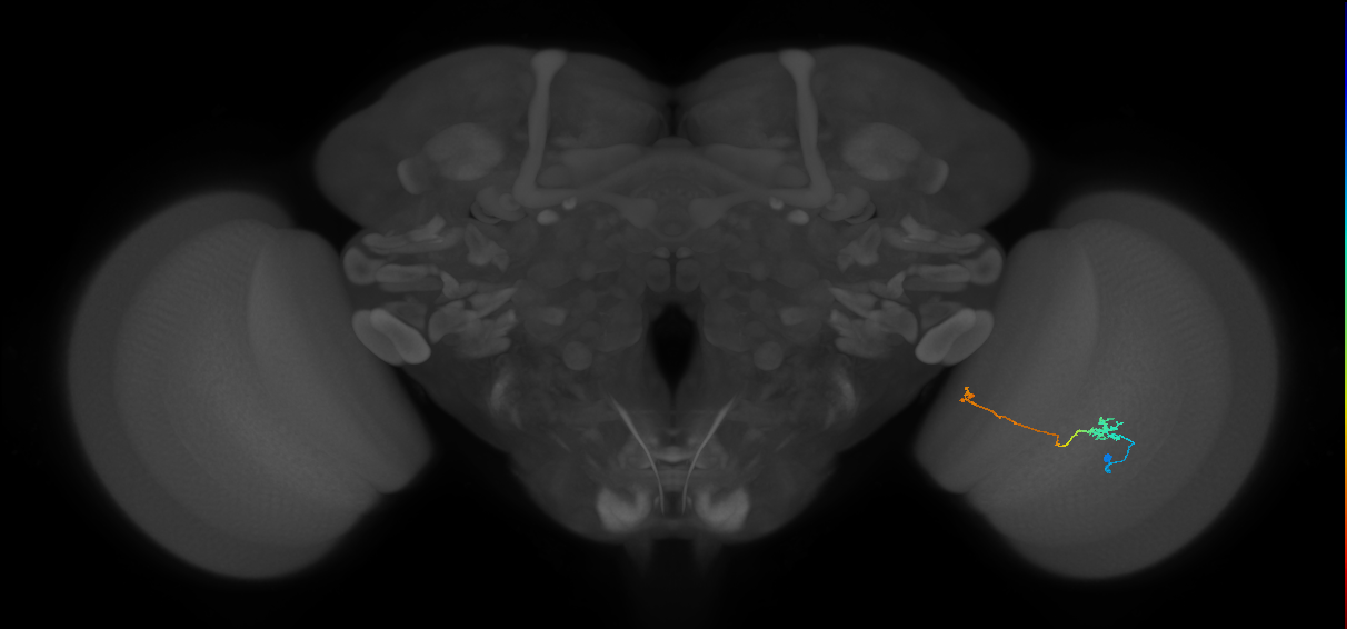 BANC_626:720575941518683564