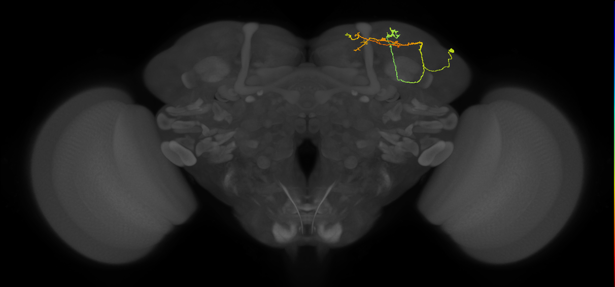 CB3354