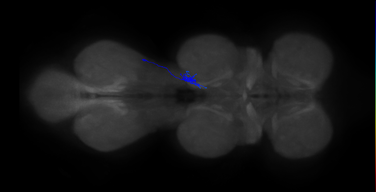 BANC_626:720575941518853559