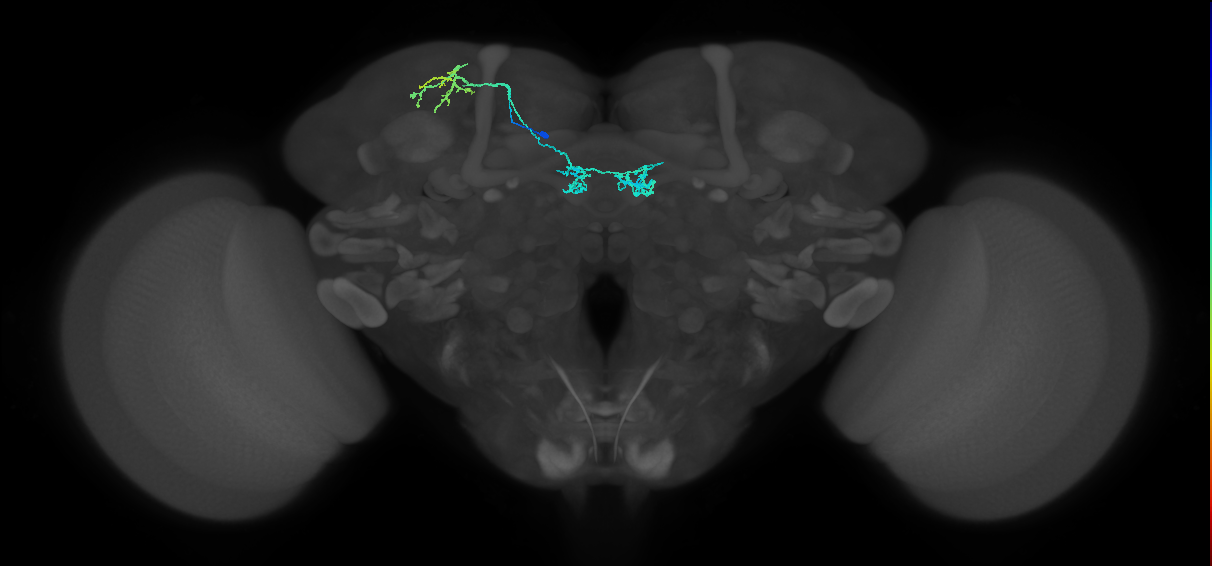 BANC_626:720575941518975916